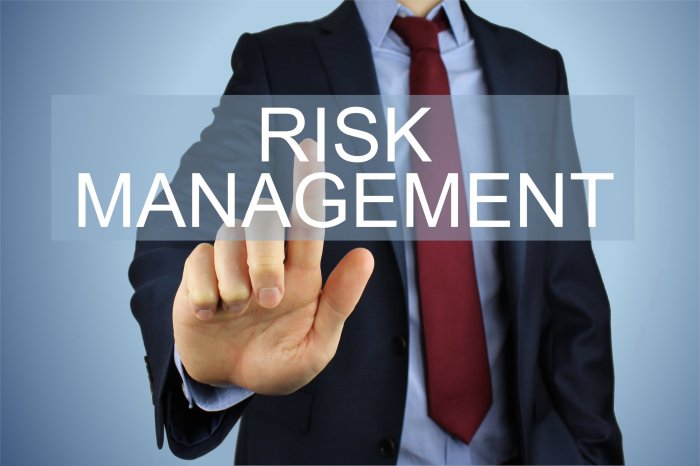 Frontiers | Implementation and evaluation of a model-based risk ...
